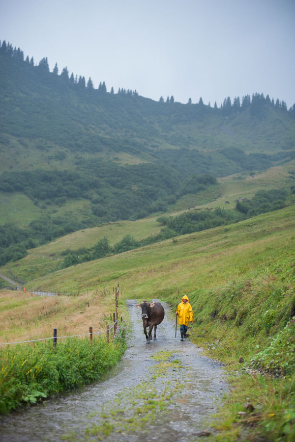 Leben auf der Alpe - Arbeit bei Regen