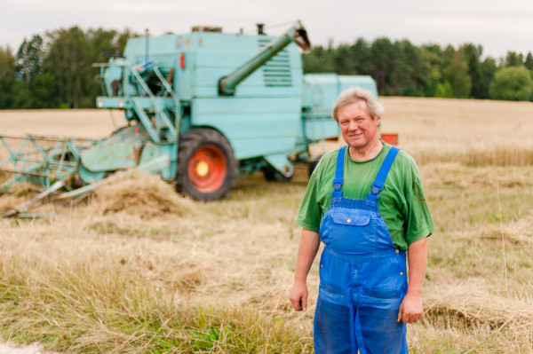 Leindotteröl – Anbau, Ernte und Produktion