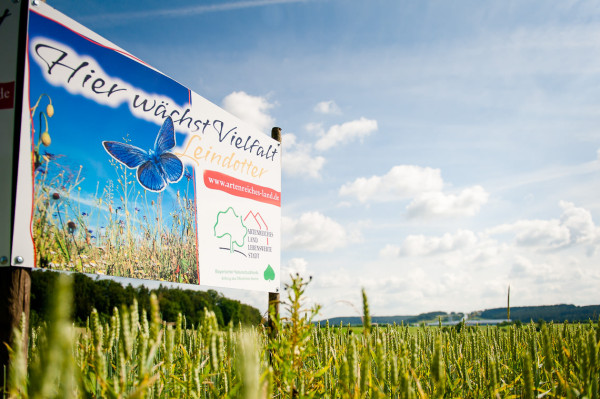 Leindotteröl – Anbau, Ernte und Produktion